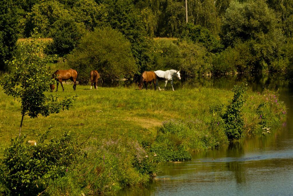 Chalet Am Bach Бад-Бірнбах Екстер'єр фото